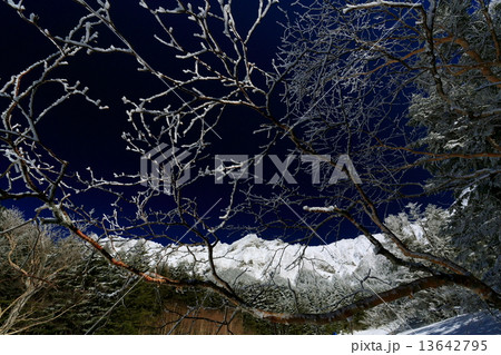 八ヶ岳・行所小屋下の樹氷と横岳西壁 八ヶ岳・行所小屋下の樹氷と横岳西壁 13642795