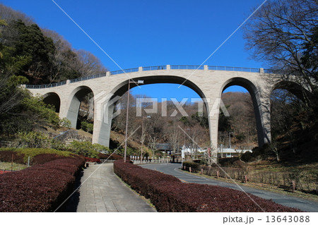 七沢森林公園　森のかけはし 13643088