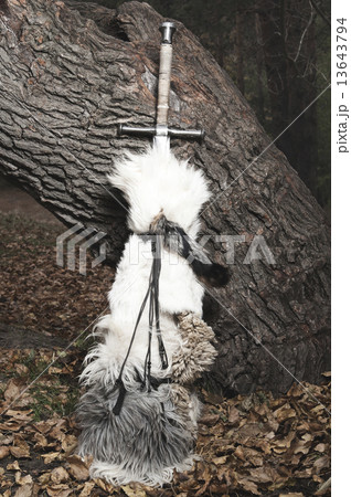 Sword near the tree. Sword near the tree. 13643794