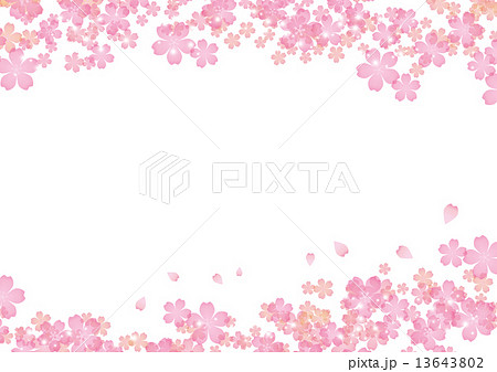 花見 桜 背景 背景 シリーズ のイラスト素材 13643802 Pixta