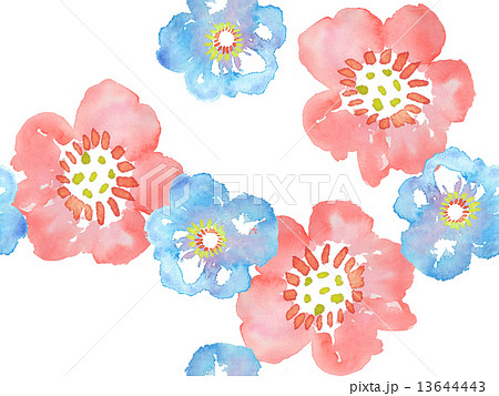 花 模様 花柄 花柄模様 水彩 春 赤 青 植物 自然 明るい 楽しい 素材 背景 白バック のイラスト素材 13644443 Pixta