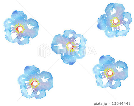 花 模様 花柄 花柄模様 水彩 春 青 植物 自然 明るい 楽しい 素材 背景 白バック 楽し のイラスト素材 13644445 Pixta