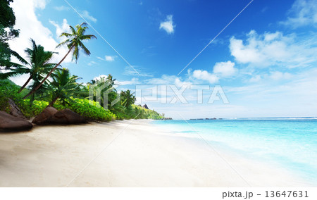 beach in sunset time on Mahe island in Seychelles 13647631