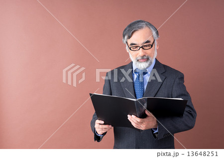 シニアのビジネスマン 13648251