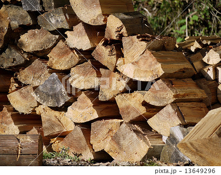 たきぎ（薪） 13649296