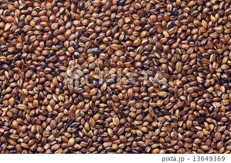 国産麦茶 13649369