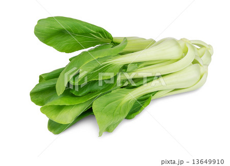 cabbage pak choy 13649910