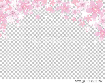 桜吹雪のイラスト素材 13650187 Pixta