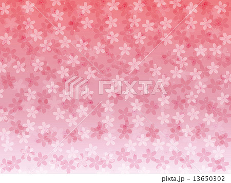 桜吹雪 13650302