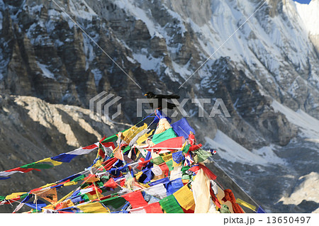 buddhism flag everest basecamp  from nepal 13650497