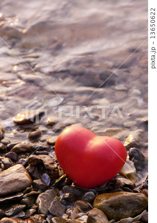 red shape heart on rock and shell beach red shape heart on rock and shell beach 13650622