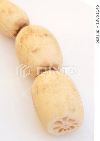 れんこん 13651145