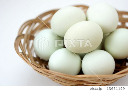 アローカナ アローカナ 13651199