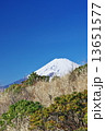 普通の富士山　（縦） 13651577