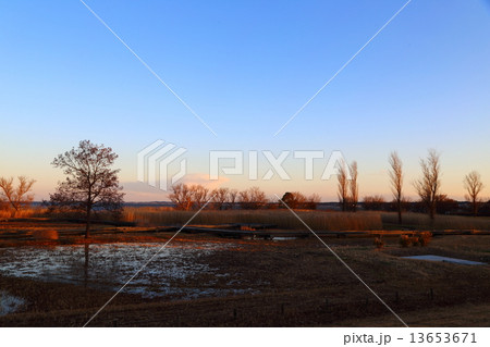 霞ヶ浦総合公園 13653671