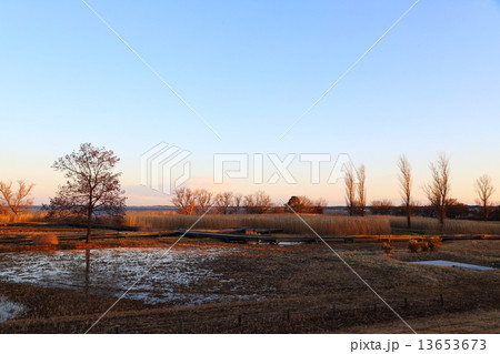 霞ヶ浦総合公園 13653673