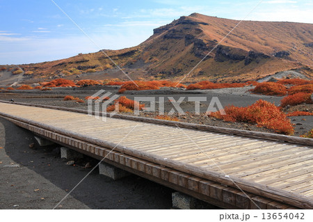 阿蘇山 砂千里遊歩道 阿蘇山 砂千里遊歩道 13654042