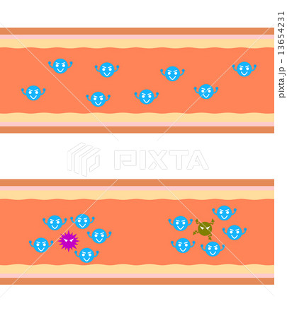 血管内の細菌 13654231