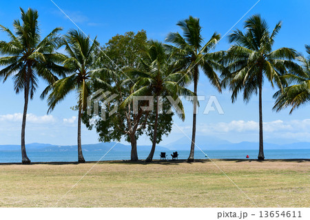ポートダグラスの海岸 13654611