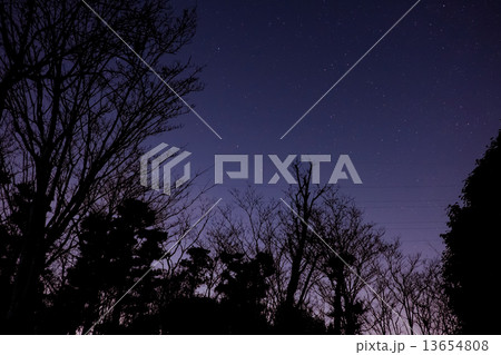 青く深い森 13654808