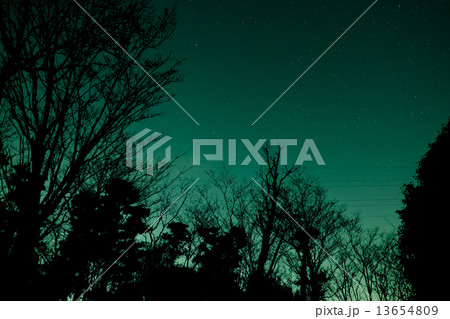 グリーンの空 13654809