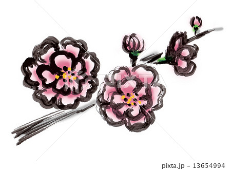 桃の花のイラスト素材