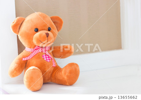 Teddy bear Teddy bear 13655662