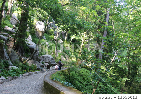 Sintra 13656013