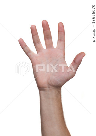 Man hand. five fingers. Isolated white. destiny. 13656670