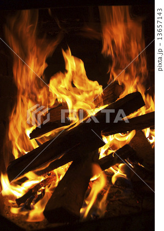 Fire and tree 13657143