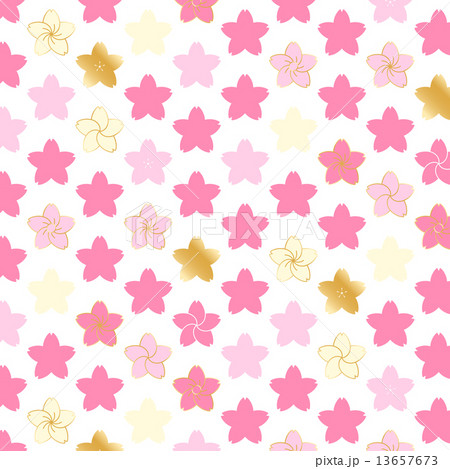 桜パターン 桜パターン 13657673