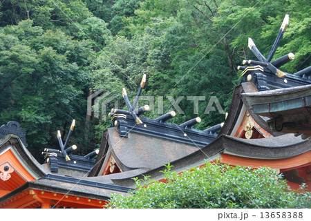 熊野那智大社･本殿の屋根（和歌山県東牟婁郡那智勝浦町） 13658388