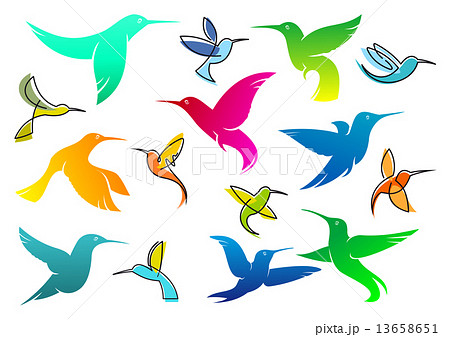 Colorful hummingbird birds Colorful hummingbird birds 13658651