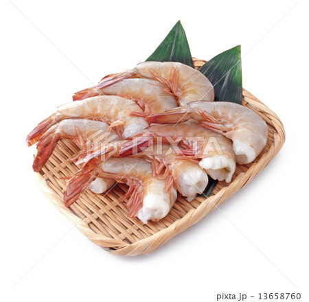 無頭えび 13658760