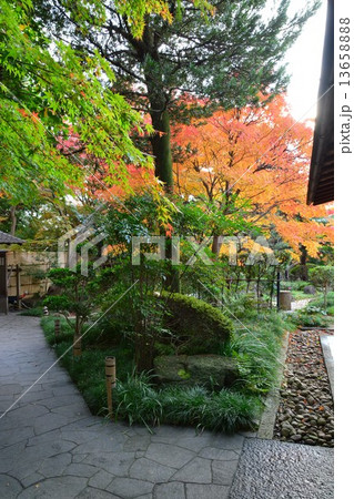 秋の嚶鳴庵 13658888