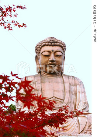 聚楽園大仏と紅葉 聚楽園大仏と紅葉 13658895