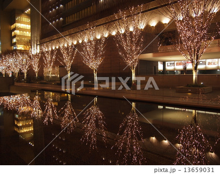 帰り道 帰り道 13659031