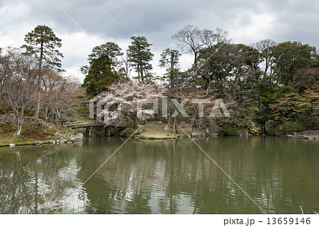 仙洞御所 紅葉橋と桜 仙洞御所 紅葉橋と桜 13659146