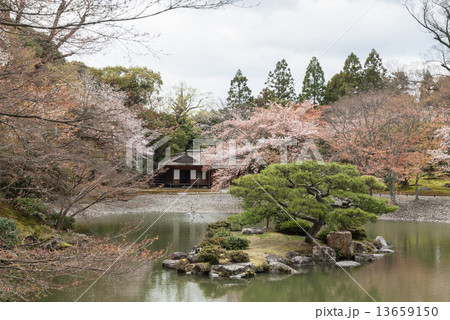 仙洞御所 醒花亭と桜の馬場 仙洞御所 醒花亭と桜の馬場 13659150