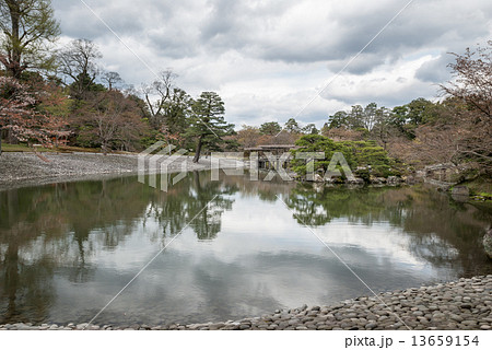 仙洞御所　桜の馬場 13659154