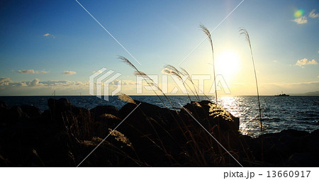 函館湾 夕景 ＜入舟町前浜海水浴場＞ 13660917