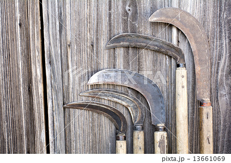 並べて立てかけた鎌 13661069