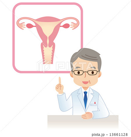 子宮　女性のからだ　医師 13661128