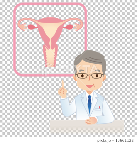 子宮　女性のからだ　医師 13661128