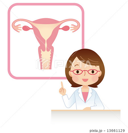 子宮　女性のからだ　医師 13661129