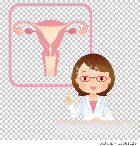 子宮　女性のからだ　医師 13661129