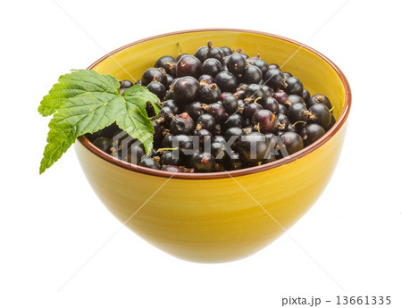 Black currant 13661335