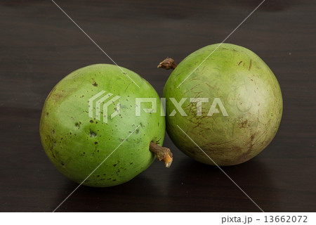 Sapote 13662072