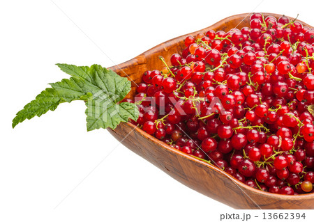 Red currant Red currant 13662394