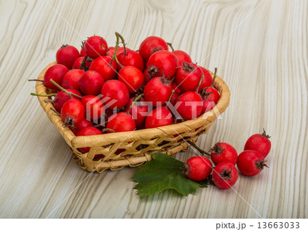 Hawthorn 13663033